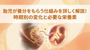 胎児が養分をもらう仕組みを詳しく解説！時期別の変化と必要な栄養素