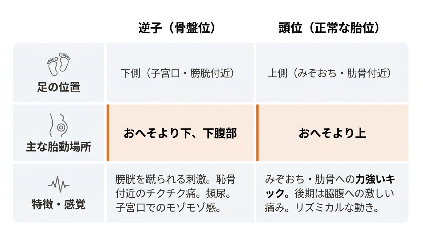 逆子と頭位で胎動を感じる位置はこんなに違う