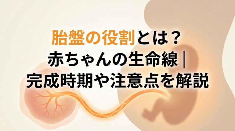 胎盤の役割とは?いつ完成する?赤ちゃんの命を守る驚きの働きを解説