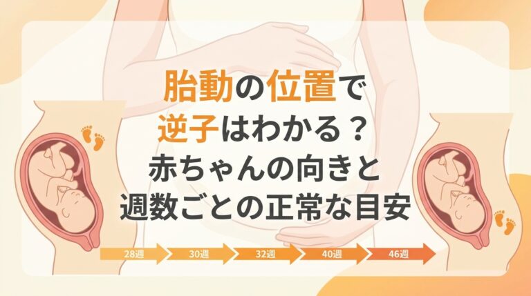 胎動の位置で逆子はわかる?赤ちゃんの向きと週数ごとの正常な目安
