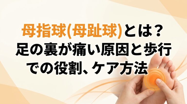母指球(母趾球)とは?足の裏が痛い原因と歩行での役割、ケア方法