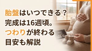 胎盤はいつできる？完成は16週頃。つわりが終わる目安も解説