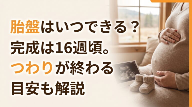 胎盤はいつできる？完成は16週頃。つわりが終わる目安も解説