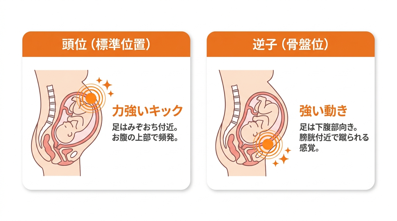 【図解】胎動を感じる位置から赤ちゃんの向きを推測する方法