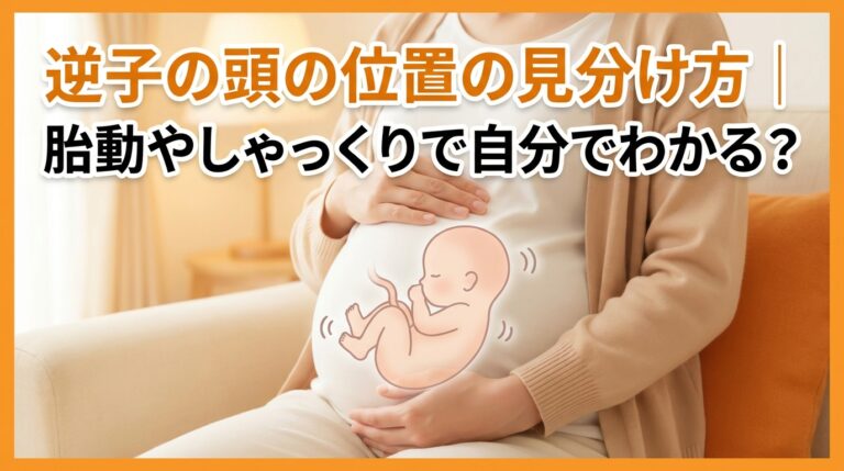 逆子の頭の位置の見分け方｜胎動やしゃっくりで自分でわかる？