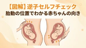 【図解】逆子セルフチェック｜胎動の位置でわかる赤ちゃんの向き