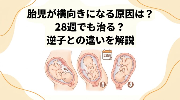 胎児が横向きになる原因は？28週でも治る？逆子との違いを解説