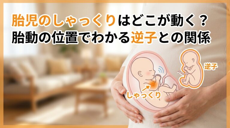胎児のしゃっくりはどこが動く?胎動の位置でわかる逆子との関係